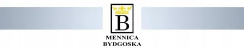 Naszyjnik srebrny 925 motylek dla dziewczynki łańcuszek z zawieszką srebro