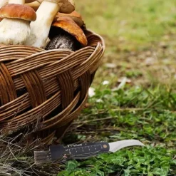 Nożyk do grzybów stalowy