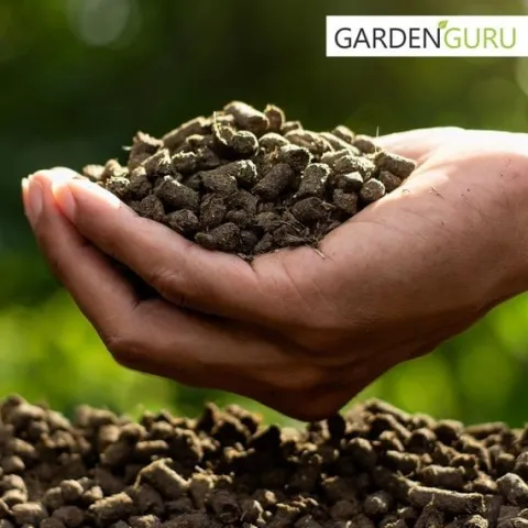 OBORNIK GRANULOWANY NATURALNY NAWÓZ EKO 40L 25kg
