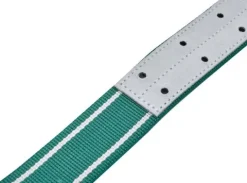 Obroża dla byka Classic, 150 x 5 cm, biały/zielony, Kerbl