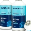 OLEJ + CZYNNIK CHŁODNICZY KLIMATYZACJI DO AUT Z R134a CLIMAPRO OILCHARGE