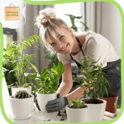 Olej Neem nierafinowany skuteczny ochrona roślin naturalny eko ogród 1L