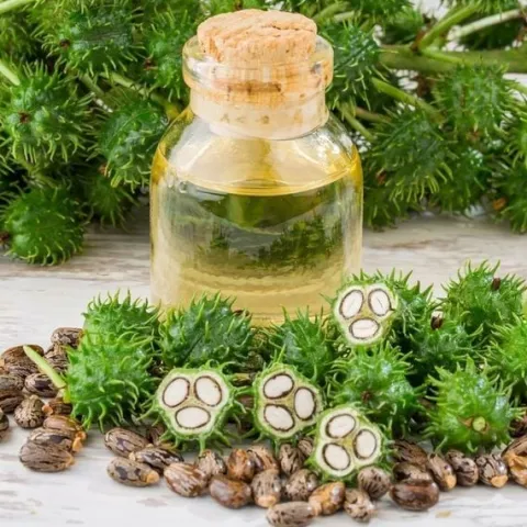 Olej rycynowy nierafinowany naturalny na włosy Indie butelka pompka 500ml