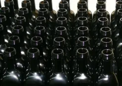 Olej z pestek dyni 500ml zimnotłoczony 100% świeży z polskich pestek