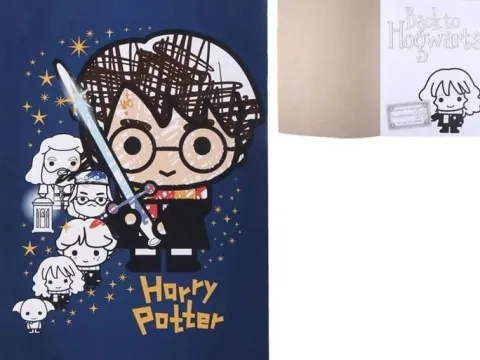 Papeteria, akcesoria szkolne Harry Potter