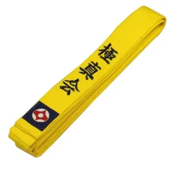 Pasy Do Kyokushin Karate 280 cm Żółty