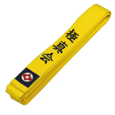 Pasy Do Kyokushin Karate 280 cm Żółty