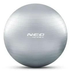 Piłka do ćwiczeń 65 cm NS-951 srebrna