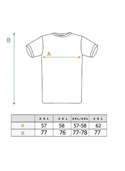 Piękna BLUZKA T-shirt Dużo Kolorów Rozmiarów