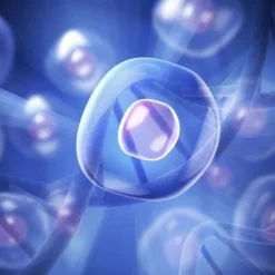 ProstaTect ZDROWA PROSTATA Układ moczowy SILNY KOMPLEKS - Komfort 90 kaps