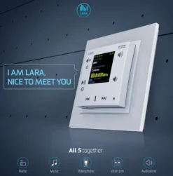 Radio internetowe LARA-R/GE lodowy, design LOGUS90, EFAPEL, ELKOEP, iNELS