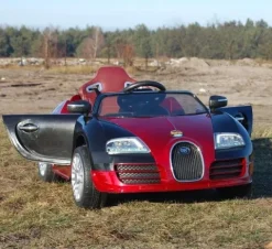 ROADSTER Z RĄCZKĄ DO PCHANIA, LAKIEROWANY NOWOŚĆ/1188