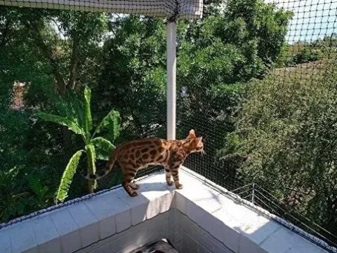 SIATKA NA BALKON Z DRUCIKIEM PREMIUM DLA KOTA BEZ WIERCENIA ZESTAW 6x3