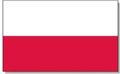 Solidna Motyka Kopania ziemniaków PREMIUM 3 zęby