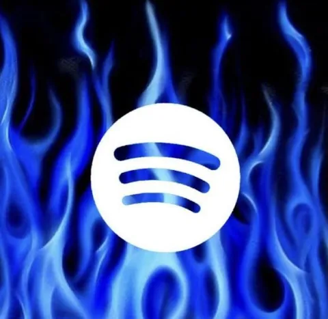 SPOTIFY PREMIUM 1 ROK | NA TWOJE KONTO