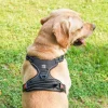 SZELKI BEZUCISKOWE typu GUARD dla psa ELITE XS bla