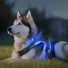 SZELKI DLA PSA PODŚWIETLANE MOCNE BEZUCISKOWE LEKKIE WYTRZYMAŁE Z UCHWYTEM