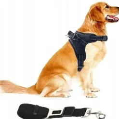 Szelki dla psa + Smycz BEZUCISKOWE czarne rozm XL Labrador Golden Owczarek