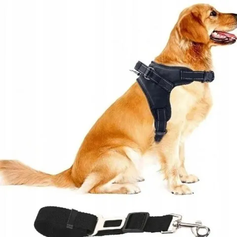 Szelki dla psa + Smycz BEZUCISKOWE czarne rozmiar L Buldog Pinczer Shiba