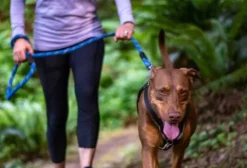 SZELKI GUARD DLA PSA REGULOWANE MOCNE BEZUCISKOWE WYGODNE PORZĄDNE roz. M