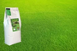 TRAWA SZYBKOROSNĄCA 5kg zagęszczająca odporna