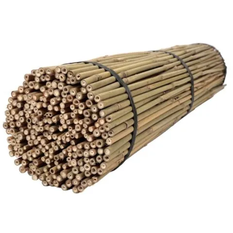 Tyczki bambusowe 120 cm 10/12 mm - 50 szt.