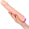 Vibrator Pleasure Fantasy