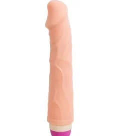 Vibrator Pleasure Fantasy