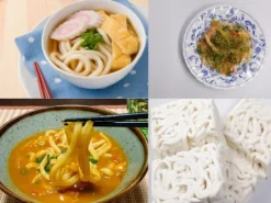 Świeży makaron udon gruby koreański noodle fresh do potraw pogoda 200g