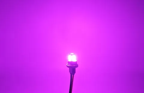 W5W żarówka LED T10 12-24V CANBUS 500lm 8 kolorów Fioletowa
