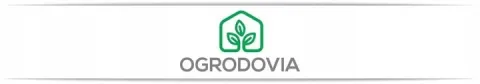 WÓZEK OGRODOWY TRANSPORTOWY TACZKA WYWROTKA PRZYCZEPKA DO OGRODU 3w1 300kg