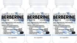 3x BERBERYNA 1500MG 60 KAPS. DER 4:1 WSPARCIE GLUKOZY CUKRZYCA METABOLIZM