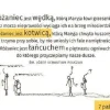 365x YOUCAT - dzień za dniem - kalendarz na spirali