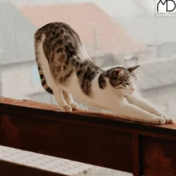 Zabezpieczenie siatka ochronna na schody balkon balustrady dla dzieci 300cm