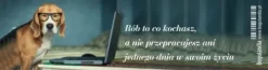 Zakładka 6 do książki - Rób to co kochasz