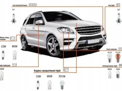 ZESTAW ZASOBNIK KOMPLET ŻARÓWEK ZAPASOWYCH 2x H7 12V + BEZPIECZNIKI 30 ELEM