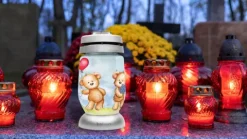 Znicz Lampion BOLSIUS 3S 21 Misie 22,5cm 36h 1szt.